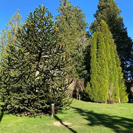 Grand Hyper Centre Standing