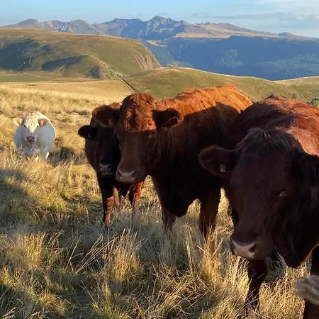 Апартаменты Grand Hyper Centre Standing