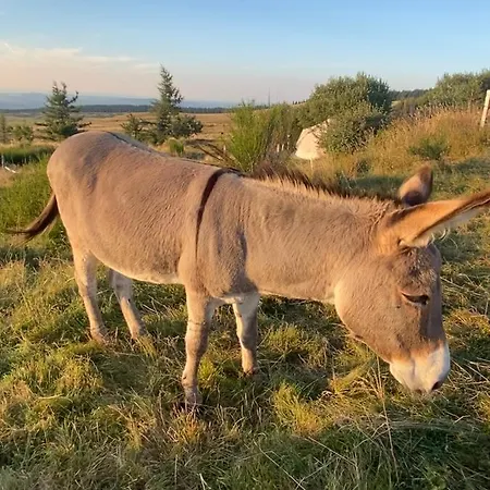 Grand Hyper Centre Standing Апартаменты Ла-Бурбуль