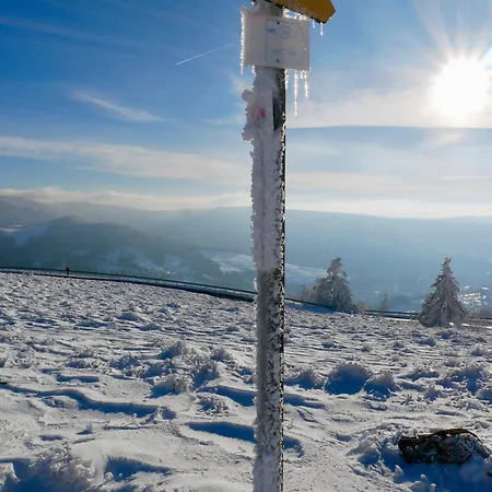 Апартаменты Grand Hyper Centre Standing Ла-Бурбуль