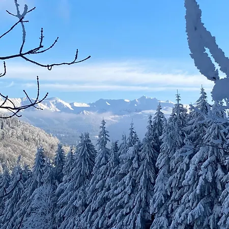 Апартаменты Grand Hyper Centre Standing Ла-Бурбуль