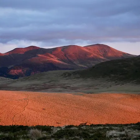 Apartament Grand Hyper Centre Standing *